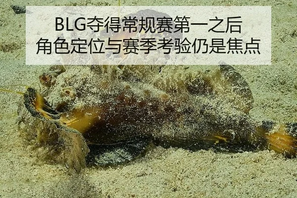BLG夺得常规赛第一之后 角色定位与赛季考验仍是焦点